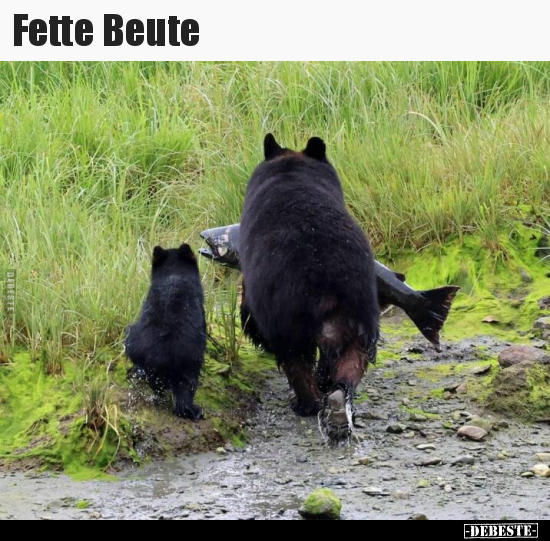 Fette Beute.. - Lustige Bilder | DEBESTE.de