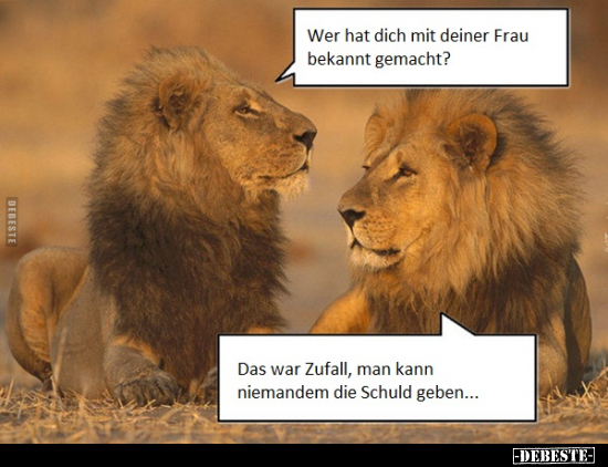 Wer hat dich mit deiner Frau bekannt gemacht?.. - Lustige Bilder | DEBESTE.de