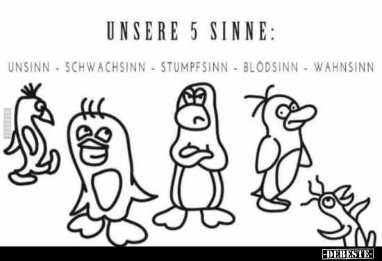 Unsere 5 Sinne.. - Lustige Bilder | DEBESTE.de