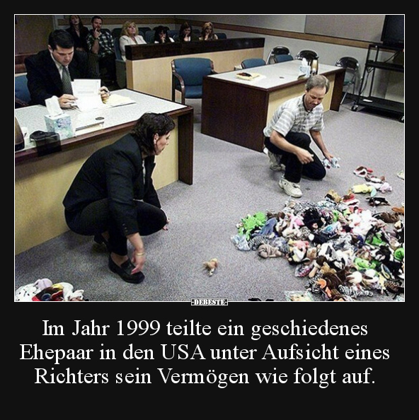 Im Jahr 1999 teilte ein geschiedenes Ehepaar in den USA.. - Lustige Bilder | DEBESTE.de