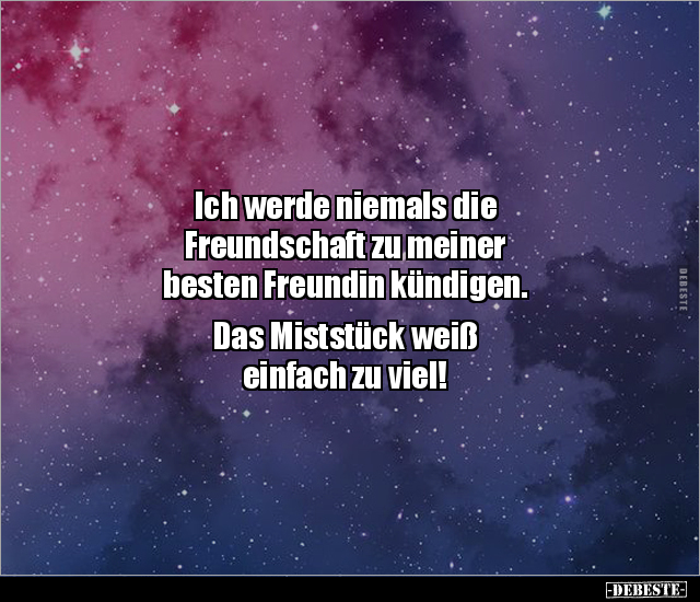 Ich werde niemals die Freundschaft zu meiner besten.. - Lustige Bilder | DEBESTE.de