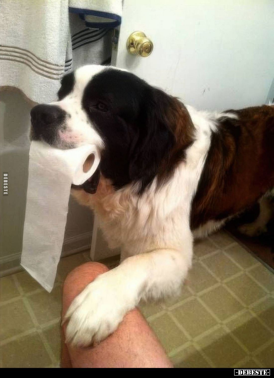  - Lustige Bilder | DEBESTE.de