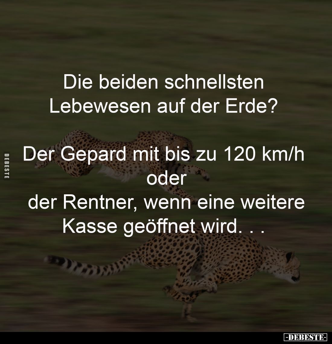 Die beiden schnellsten
Lebewesen auf der Erde?
Der Gepard mit bis zu 120 km/h
oder
der Rentner, wenn eine weitere
K...