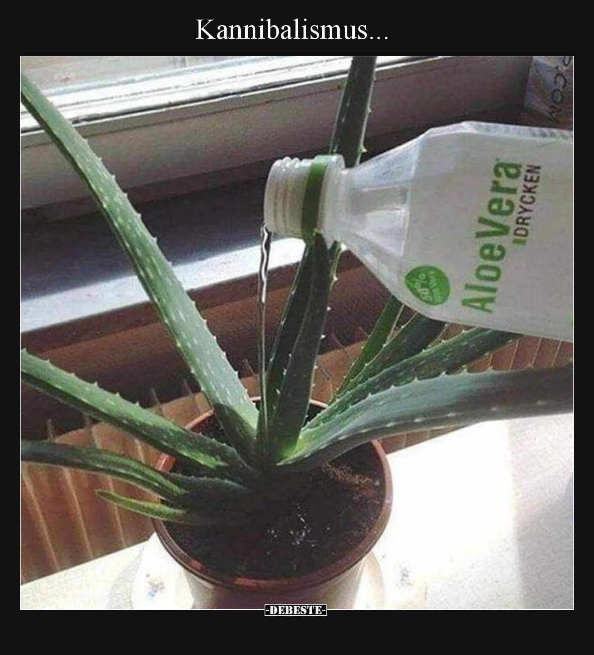 Kannibalismus