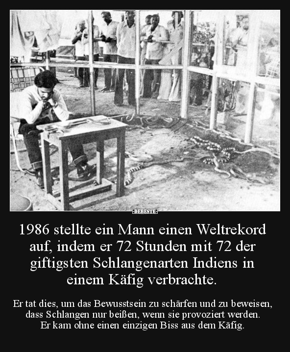 1986 stellte ein Mann einen Weltrekord auf, indem er 72.. - Lustige Bilder | DEBESTE.de