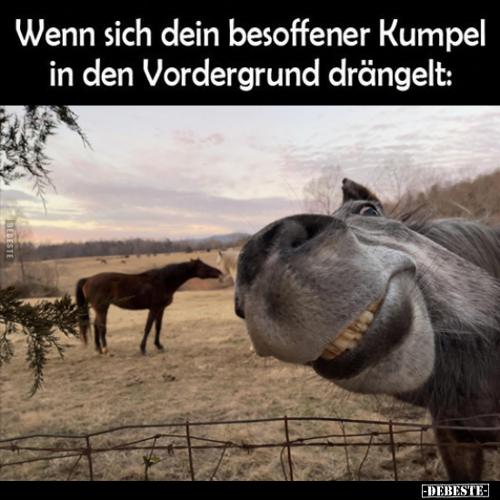 Wenn sich dein besoffener Kumpel.. - Lustige Bilder | DEBESTE.de