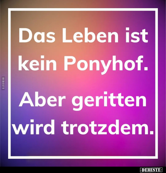 Das Leben ist kein Ponyhof.. - Lustige Bilder | DEBESTE.de