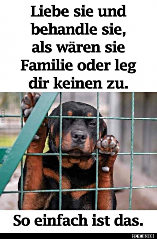 Liebe sie und behandle sie, als wären sie Familie oder leg..