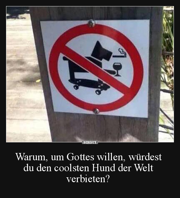 Warum, um Gottes willen, würdest du den coolsten Hund..
