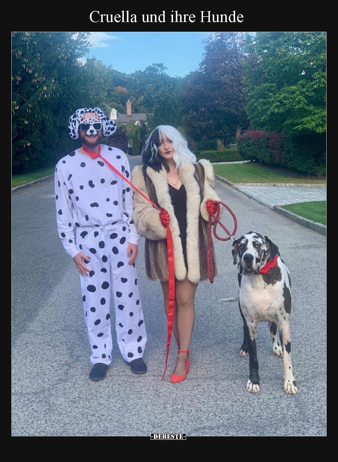 Cruella und ihre Hunde