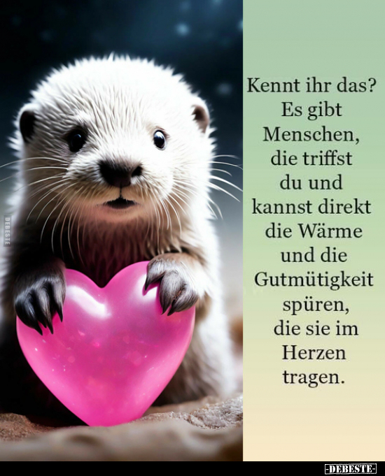 Kennt ihr das? 
Es gibt Menschen, die triffst du und kannst direkt die Wärme und die Gutmütigkeit spüren, die sie im Herzen ...