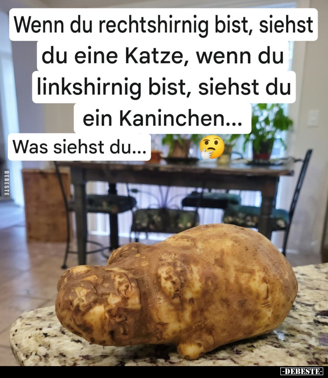 Wenn du rechtshirnig bist, siehst du eine Katze, wenn du.. - Lustige Bilder | DEBESTE.de