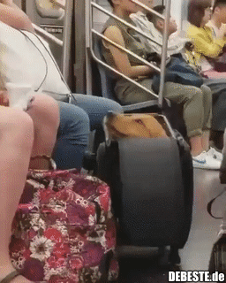 Wenn man nur das Nötigste einpackt..