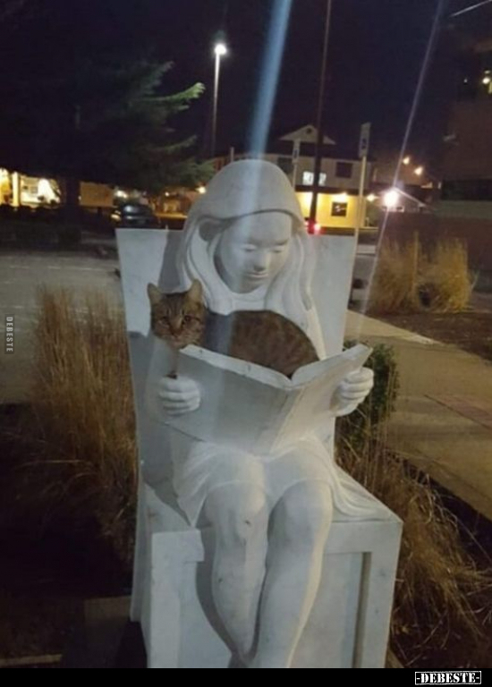  - Lustige Bilder | DEBESTE.de