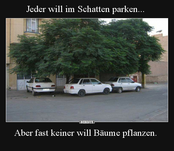 Jeder will im Schatten parken.. - Lustige Bilder | DEBESTE.de