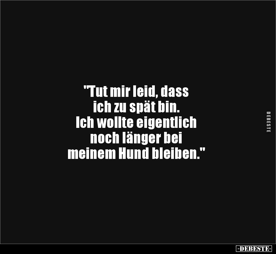 "Tut mir leid, dass 
ich zu spät bin. 
Ich wollte eigentlich 
noch länger bei 
meinem Hund bleiben."