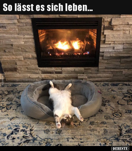 So lässt es sich leben...