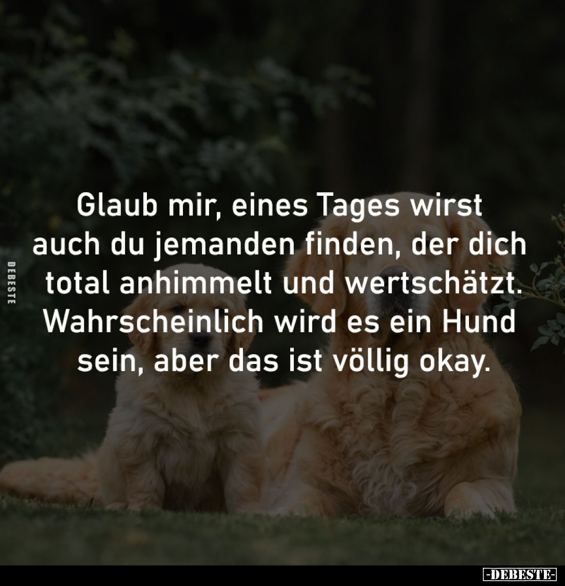 Glaub mir, eines Tages wirst
auch du jemanden finden, der dich
total anhimmelt und wertschätzt.
Wahrscheinlich wird es e...