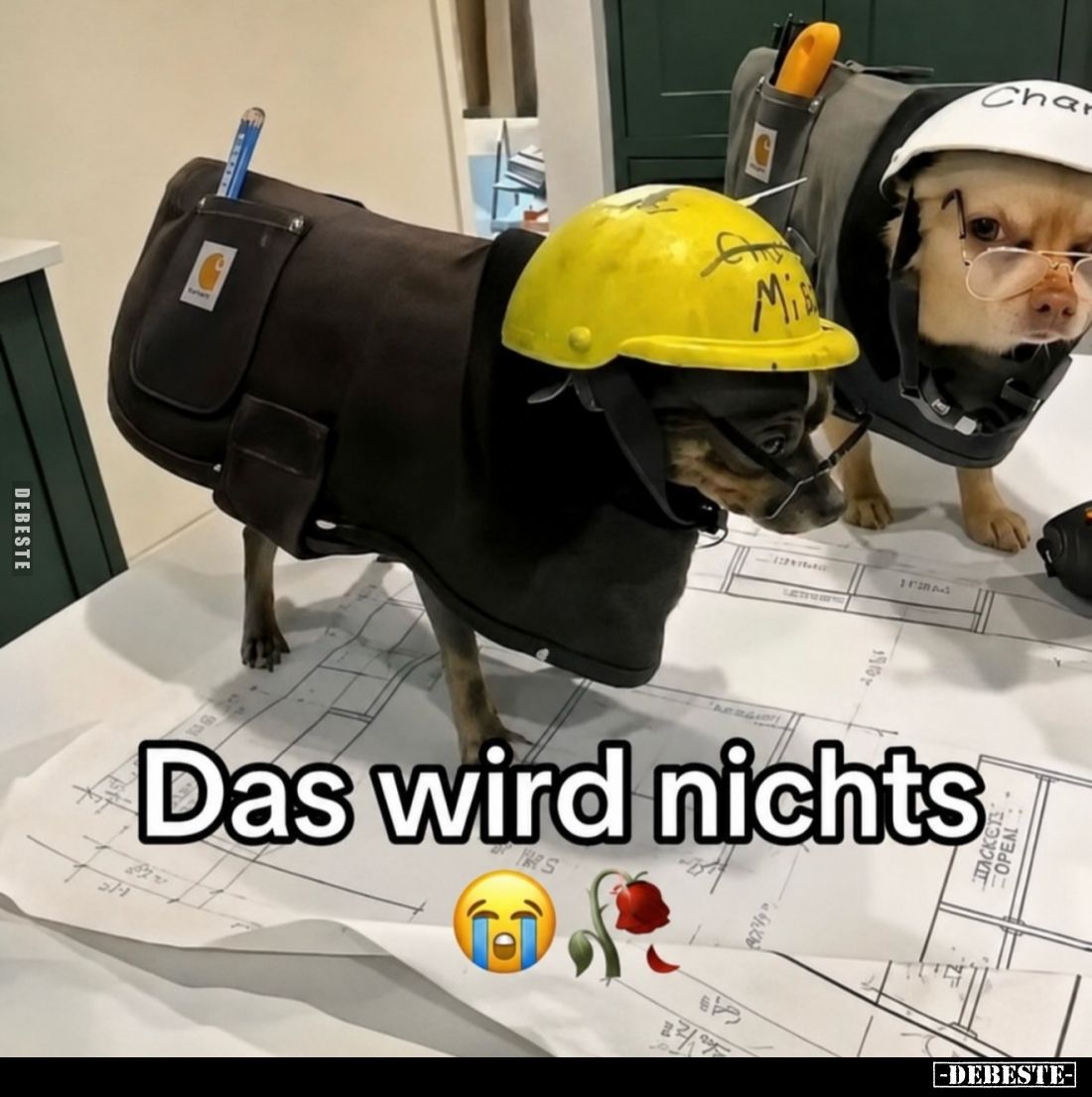 Das wird nichts.