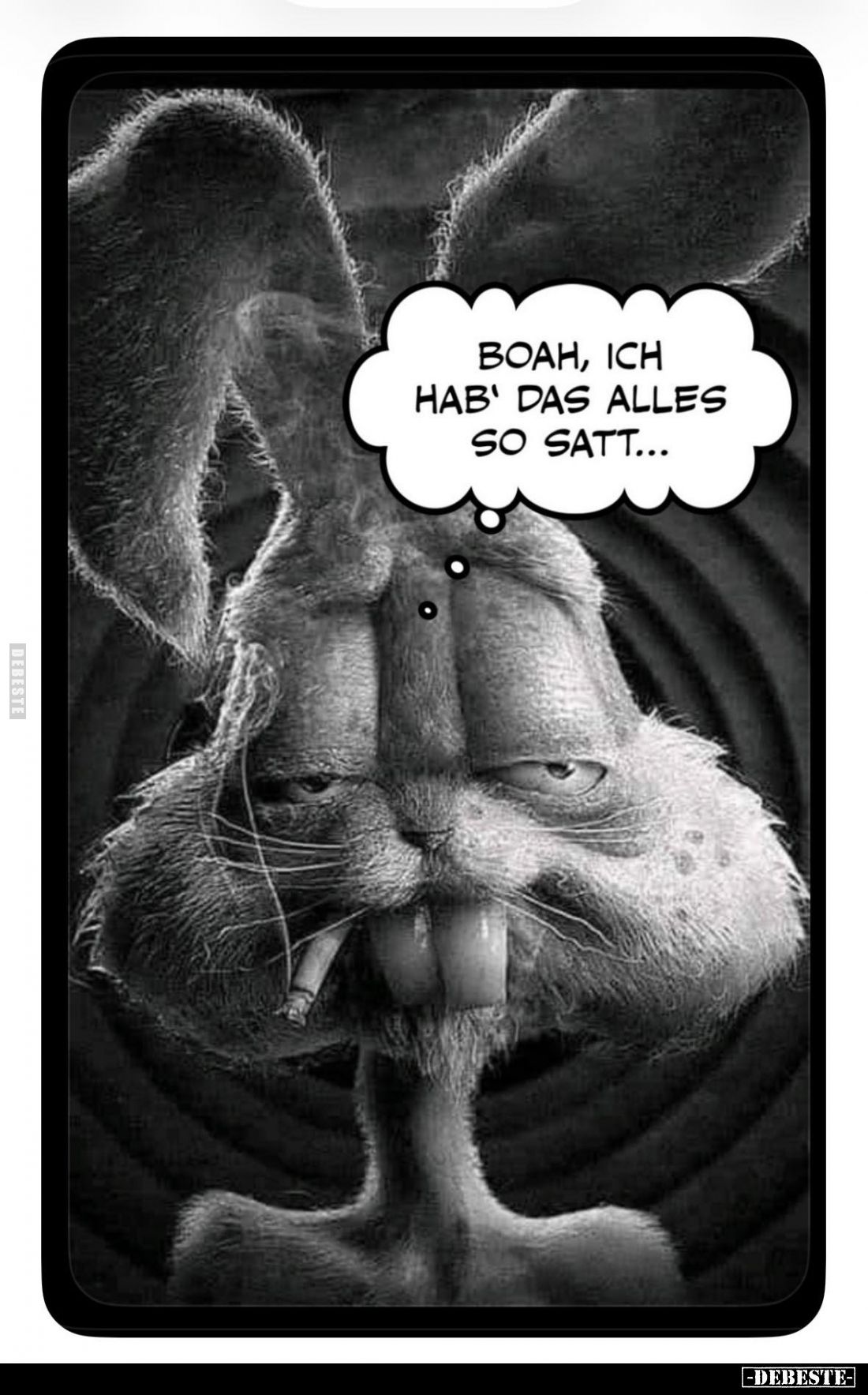 Boah, ich hab' das alles so satt... - Lustige Bilder | DEBESTE.de