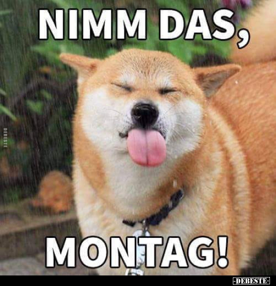 Nimm das, Montag!..