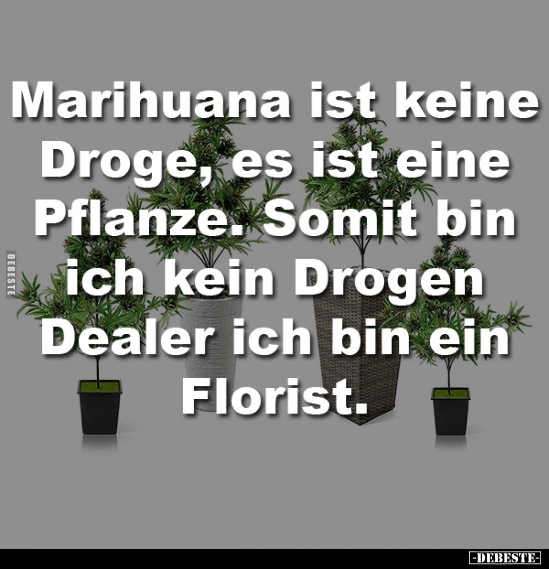 Marihuana ist keine Droge, es ist eine Pflanze. Somit bin ich kein Drogen Dealer ich bin ein Florist.