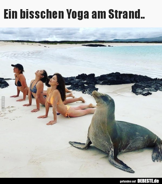 

Ein bisschen Yoga am Strand..

 - Lustige Bilder | DEBESTE.de