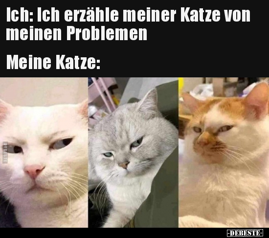 Ich: Ich erzähle meiner Katze von meinen Problemen.. - Lustige Bilder | DEBESTE.de