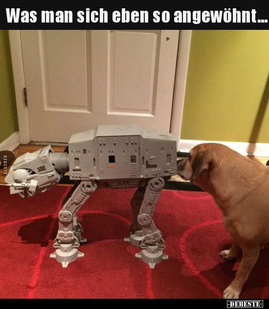 Was man sich eben so angewöhnt...