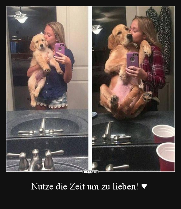 Nutze die Zeit um zu lieben! ♥.. - Lustige Bilder | DEBESTE.de