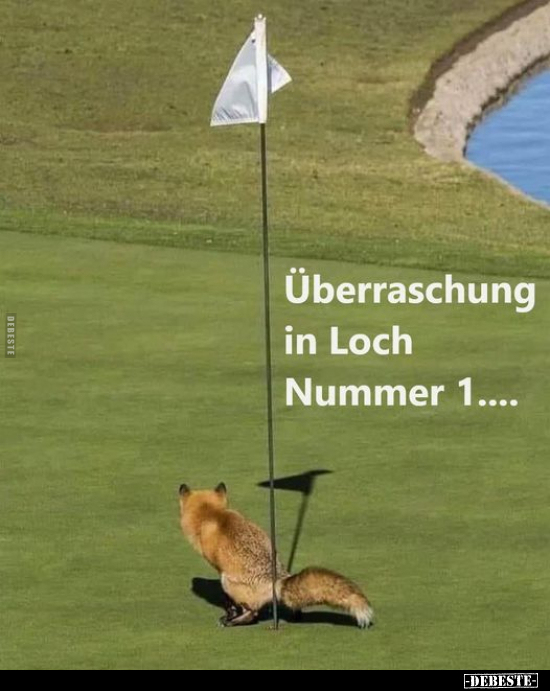 Überraschung in Loch Nummer 1.. - Lustige Bilder | DEBESTE.de