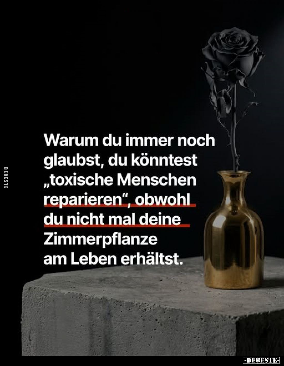 Warum du immer noch glaubst, du könntest "toxische Menschen reparieren", obwohl du nicht mal deine Zimmerpflanze am...