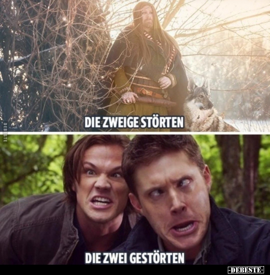 Die Zweige störten / Die zwei Gestörten...