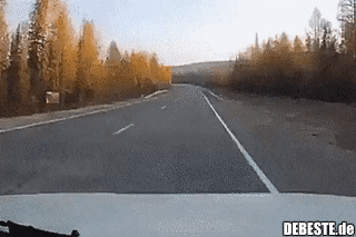 Liebt den Nervenkitzel..