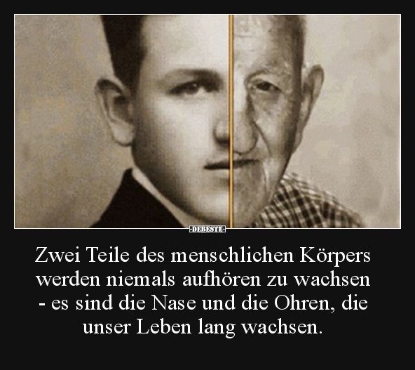 Zwei Teile des menschlichen Körpers werden niemals..