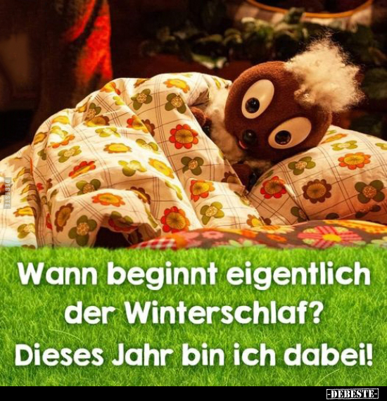 Wann beginnt eigentlich der Winterschlaf?.. - Lustige Bilder | DEBESTE.de