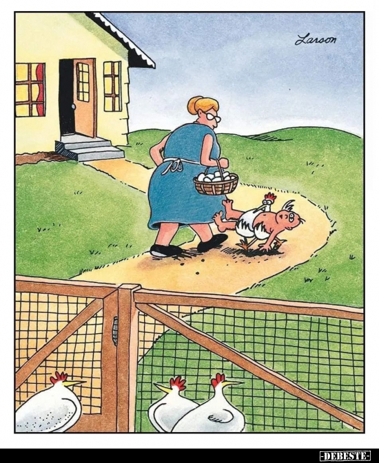  - Lustige Bilder | DEBESTE.de