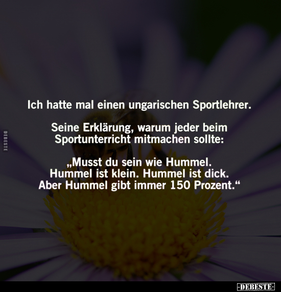 Ich hatte mal einen ungarischen Sportlehrer.. - Lustige Bilder | DEBESTE.de