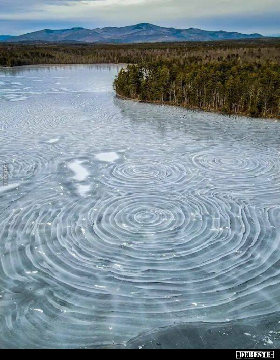 Natur du geiles Stück... - Lustige Bilder | DEBESTE.de