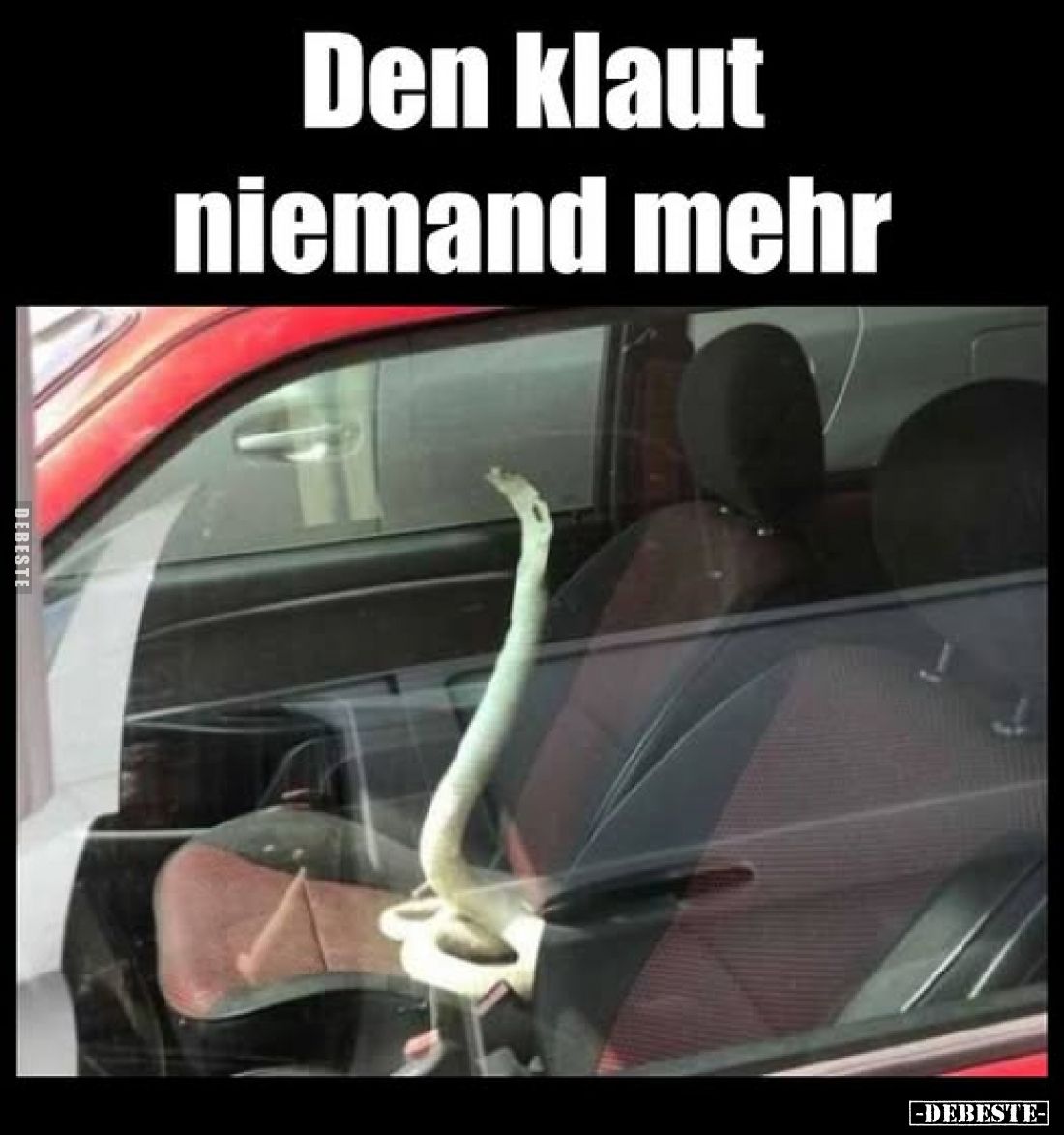 Den klaut niemand mehr