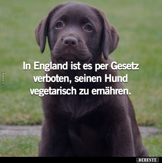 In England ist es per Gesetz verboten.. - Lustige Bilder | DEBESTE.de