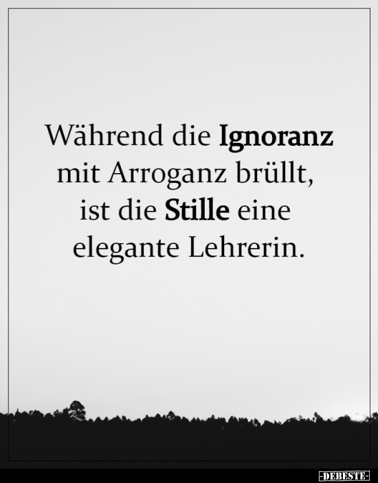 Während die Ignoranz mit Arroganz brüllt, ist die Stille.. - Lustige Bilder | DEBESTE.de