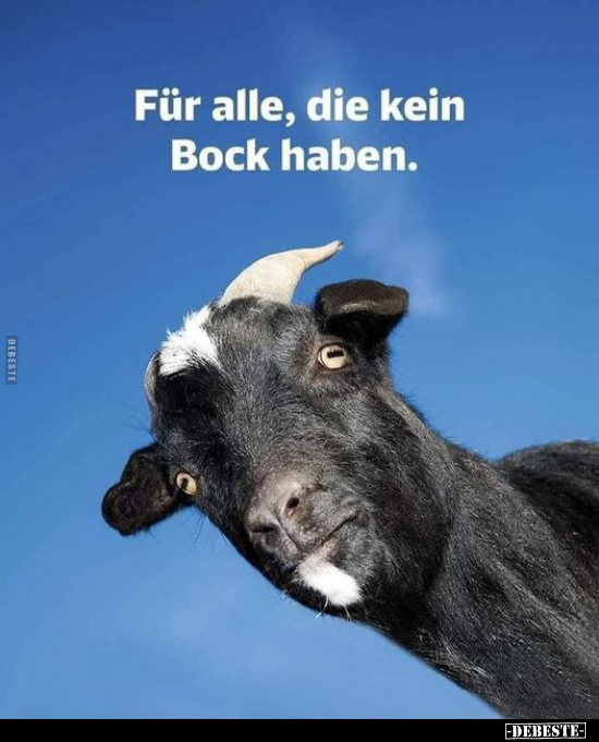 Für alle, die kein Bock haben... - Lustige Bilder | DEBESTE.de