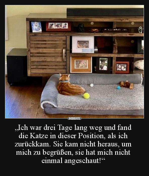 "Ich war drei Tage lang weg und fand die Katze in dieser.." - Lustige Bilder | DEBESTE.de