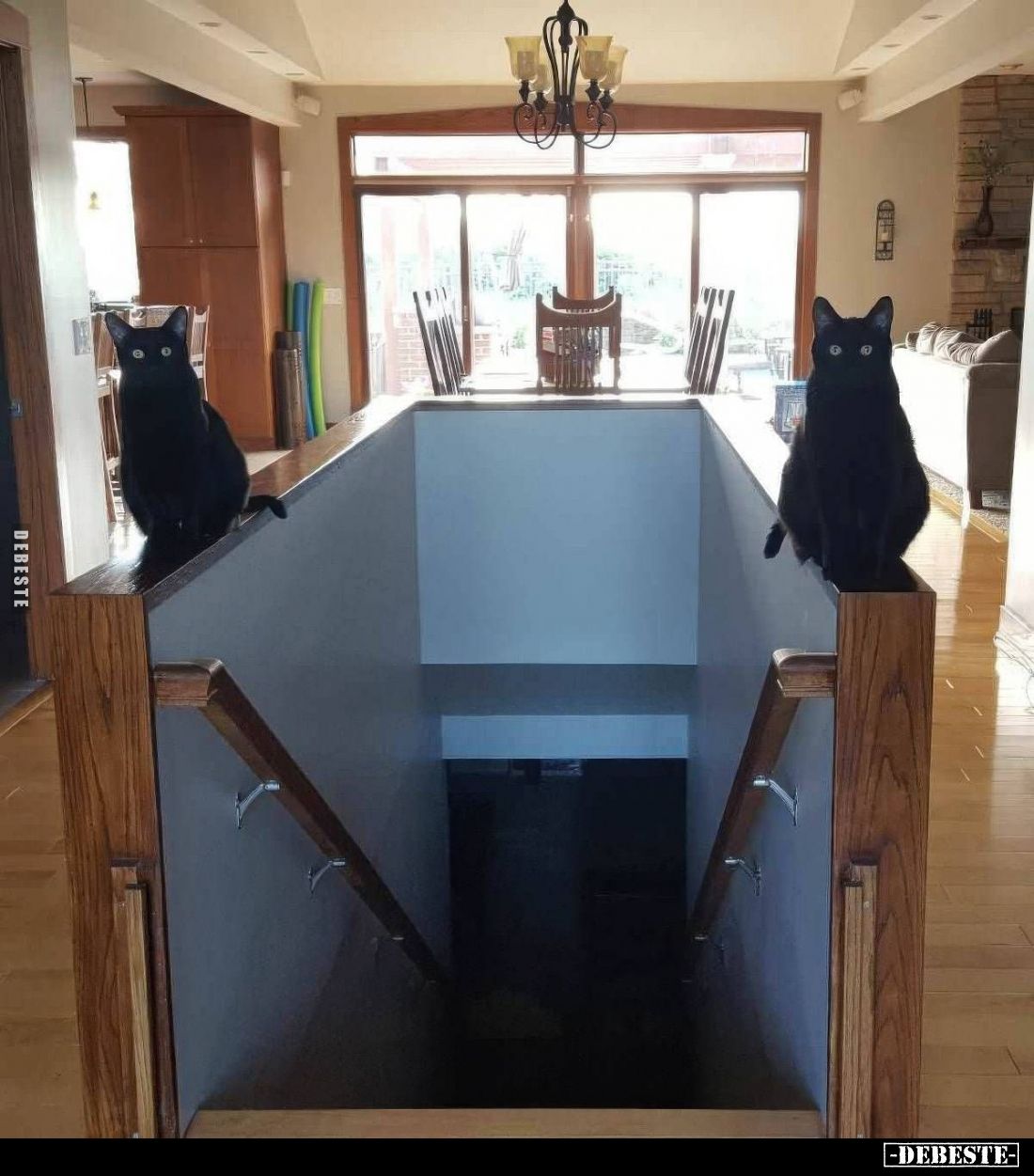  - Lustige Bilder | DEBESTE.de