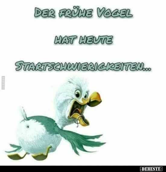 Der frühe Vogel hat heute Startschwierigkeiten... - Lustige Bilder | DEBESTE.de