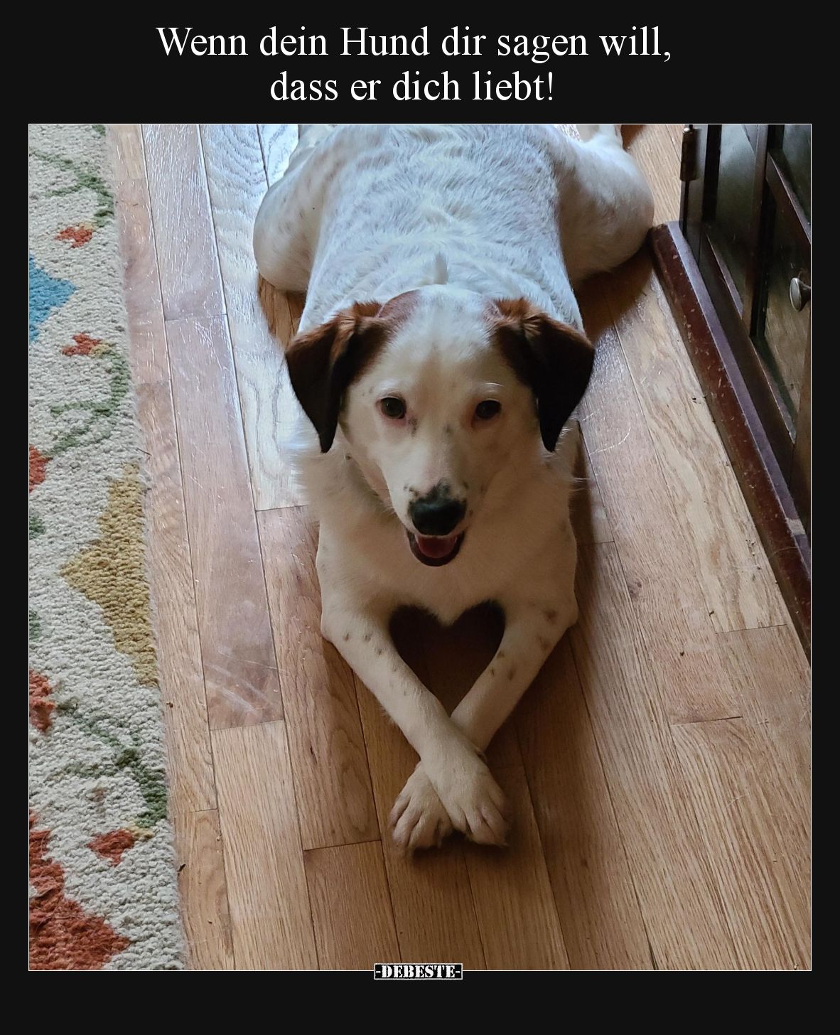 Wenn dein Hund dir sagen will, dass er dich liebt!