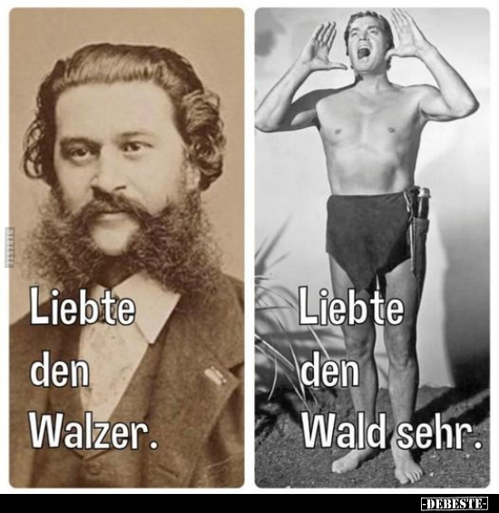 Liebte den Walzer / Liebte den Wald sehr... - Lustige Bilder | DEBESTE.de