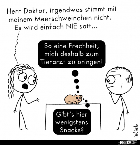 Frau, Heute, Rouladen, Machen