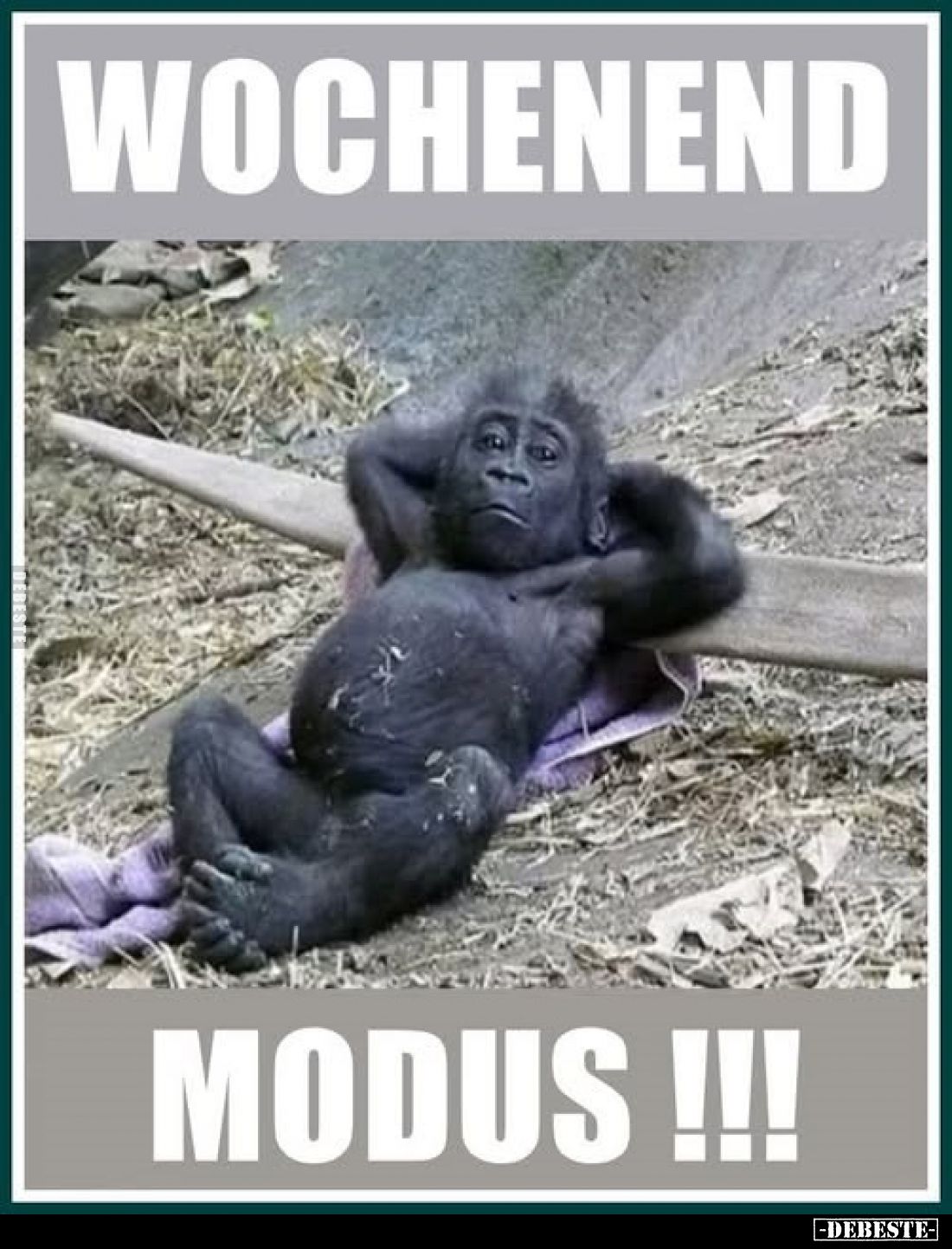 Wochenend Modus !!!.. - Lustige Bilder | DEBESTE.de
